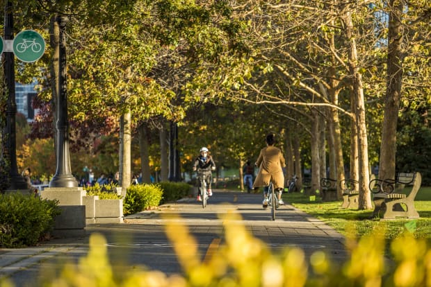 Credit: Nelson_Mouellic_Foto_via_Destination_Vancouver_Destination_BC_Content_Hub_tt7skb