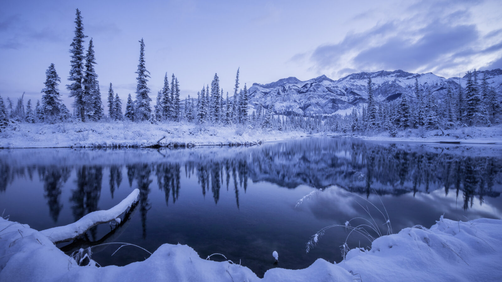 Winterlandschap in Jasper National Park © Jeff Lewis Photography
